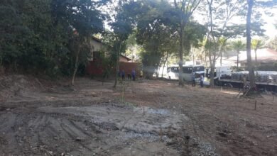 Prefeitura de São Sebastião implanta bosque em área usada para descarte irregular de resíduos em Barequeçaba