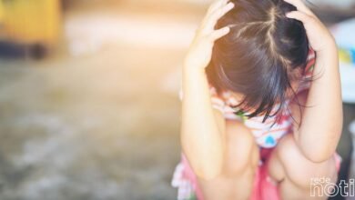 Aplicativo facilita crianças e jovens a denunciarem maus-tratos