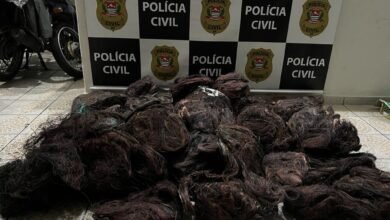 Foto: Polícia Civil de Itanhaém