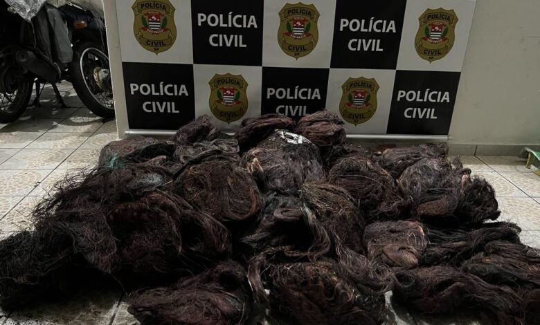 Foto: Polícia Civil de Itanhaém