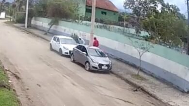 VÍDEO - Criminosos furtam pertences de carro estacionado