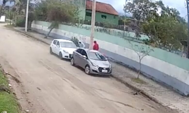 VÍDEO - Criminosos furtam pertences de carro estacionado