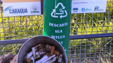 Projeto recolhe mais de 100 mil bitucas de cigarro em praias de Caraguatatuba