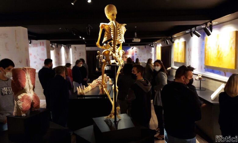 Faculdade de Medicina de Jundiaí inaugura Museu do Corpo Humano