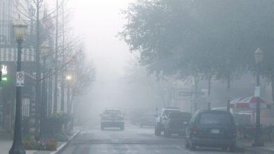 Uma frente fria provocará queda significativa de temperatura na Baixada Santista entre hoje (23) e domingo (25). Segundo a Defesa Civil do Estado, as cidades da região poderão enfrentar mínimas de 13ºC e ventos fortes de até 75km/h.