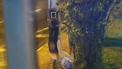 Totem de segurança flagra furto de fiação em São Vicente e GCM detém infratores