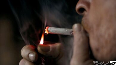 Quase 40% dos brasileiros fumantes consomem 11 ou mais cigarros ao dia