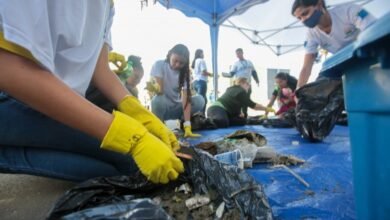 Mutirão de limpeza recolhe 224 toneladas de lixo no Bairro Esmeralda