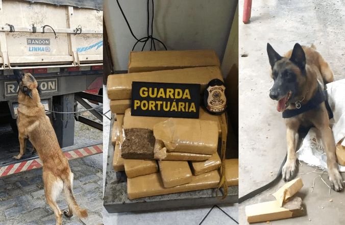 Caminhoneiro é preso com drogas e por tentar atropelar guarda portuário