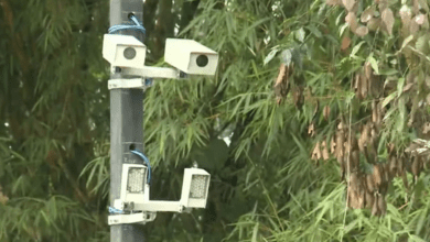 Pela quarta vez, taxa de cobrança ambiental de Ubatuba é adiada