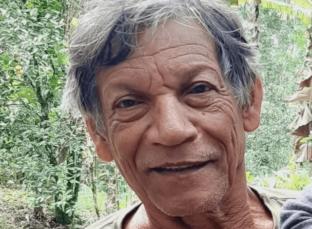 Idoso de 82 anos desaparece em área de mata na divisa de Ubatuba com o Rio de Janeiro