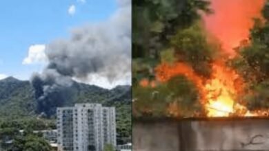 Incêndio atinge cenário de 'Todas as flores', novela que está no ar via Globoplay