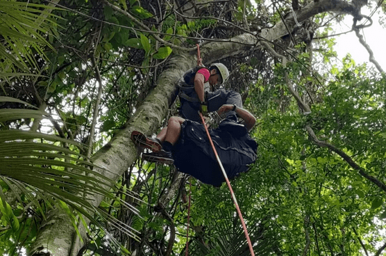 VÍDEO - Homem é salvo após ficar preso em árvore após salto de paraglider