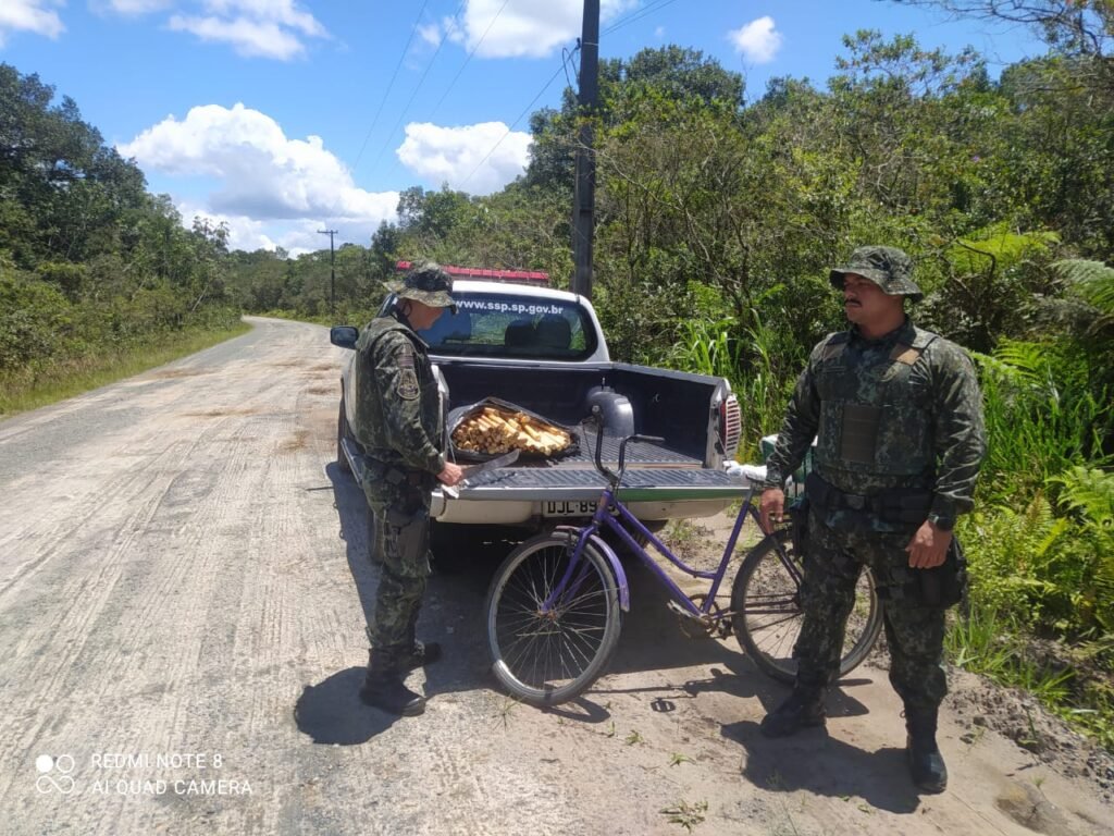 Polícia Ambiental apreende Palmito irregular em Cananéia