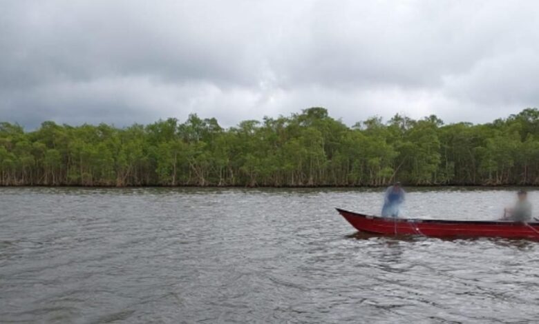 Polícia Ambiental fiscaliza pesca irregular em Santos