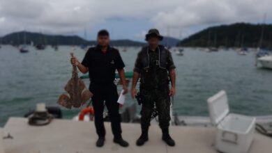 Pesca irregular é flagrada pela Polícia Ambiental em Santos e Ubatuba