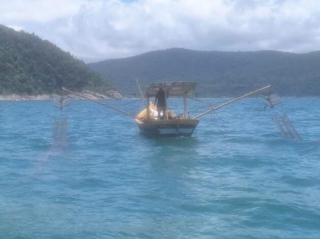 140kg de Camarão sete barbas são apreendidos pela Polícia Ambiental em Guarujá