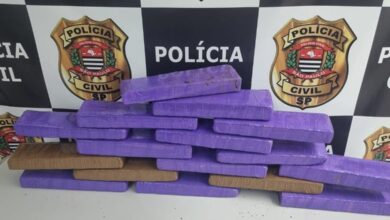 Mulher é presa em flagrante com 16 tijolos de maconha no Litoral Sul