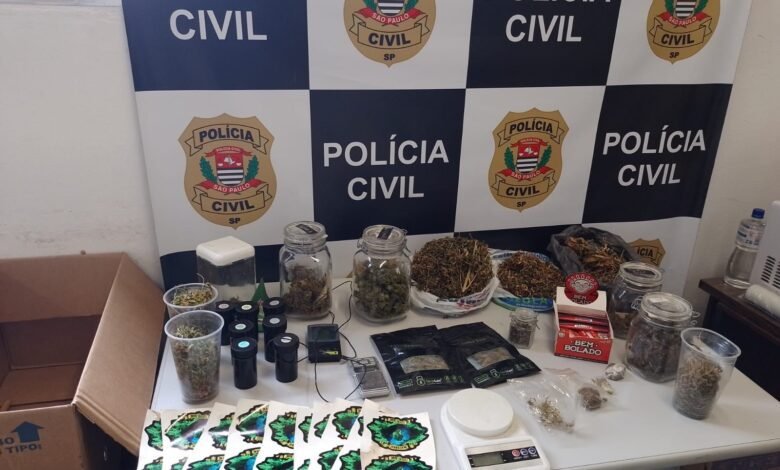 VÍDEO - Estufas com plantação de maconha são descobertas dentro de residência