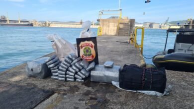 Combate ao tráfico internacional de drogas é realizado no Porto de Santos