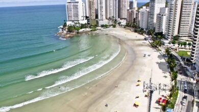 Vendedor ambulante é multado em mais de 11 mil reais por descartar resíduo contaminado na rede pluvial em Guarujá, SP