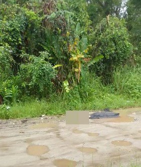 Corpo de homem é encontrado com lesões na cabeça em área de mata do Guarujá