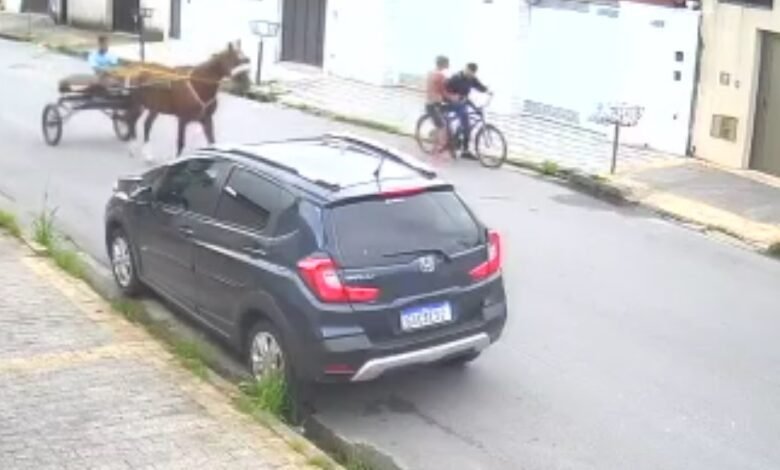 VÍDEO - Homem em charrete assalta ciclista no Guarujá