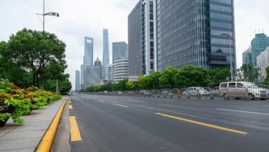 Benefícios da Arborização Urbana