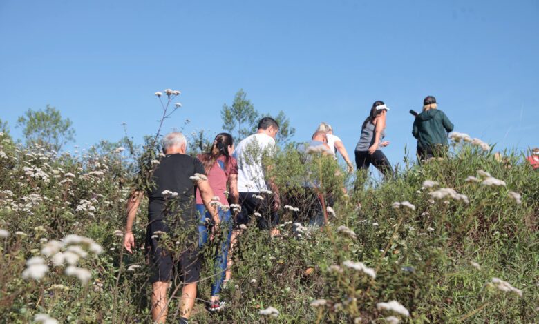 Parque Ambiental Alto da Montanha inicia o turismo de aventura em Santos