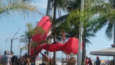 Piloto de paraglider cai em coqueiro durante voo em praia de São Vicente