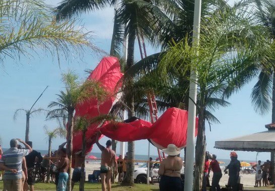 Piloto de paraglider cai em coqueiro durante voo em praia de São Vicente