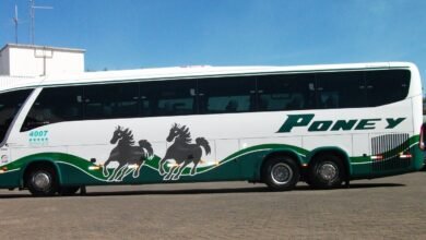 Empresa de ônibus da Baixada Santista desmente envolvimento com atos de vandalismo em Brasília