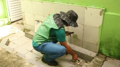 Mutirão contra o mosquito Aedes Aegypti é realizado em Santos
