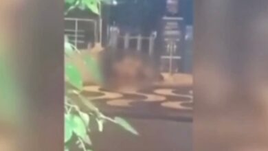 VÍDEO - Casal é flagrado fazendo sexo em frente a balada em Santos