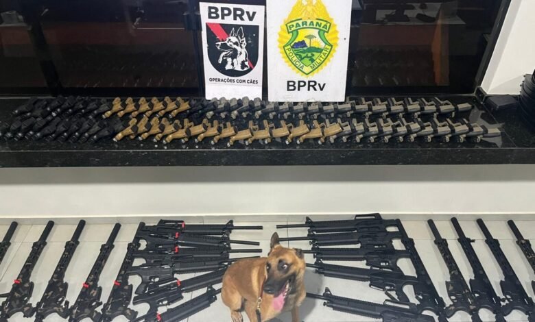 VÍDEO - Quantidade de armas apreendidas pela Polícia Militar no Noroeste é a maior no Paraná