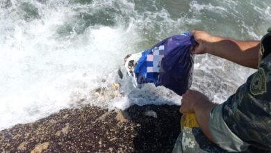 Polícia Ambiental flagra comércio de Ostras durante defeso