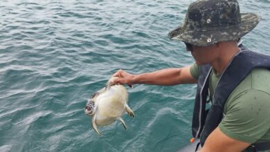 Polícia localiza rede de pesca irregular em São Sebastião