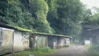 Casais são sequestrados e ficam em cativeiro como reféns