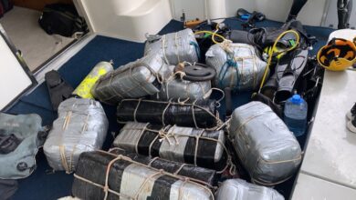 Quase 300 Kg de drogas são encontradas em navio no Porto de Santos