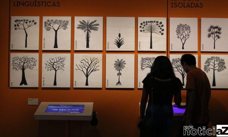 Exposição sobre línguas indígenas ganha versão virtual