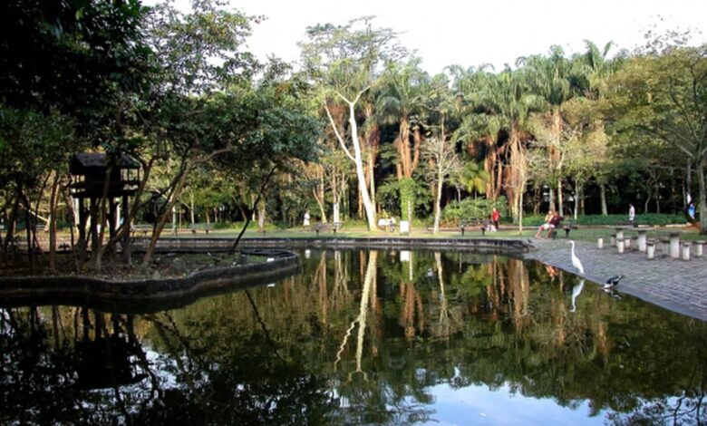 Orquidário e Jardim Botânico de Santos fecham em razão da queda de árvores