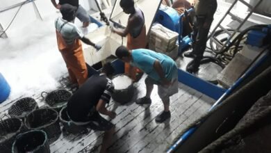 VÍDEO - Polícia Ambiental apreende 16 toneladas de pescado em Bertioga