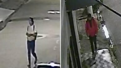 VÍDEO - Câmeras flagram mulher grávida roubando produtos avaliados em R$ 20 mil