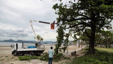 250 pessoas são direcionadas ao reparo de estragos devido as chuvas em Santos