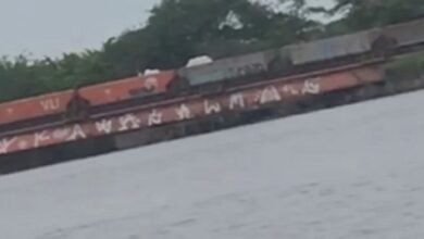 Homem furta carga de trem em movimento no Porto de Santos