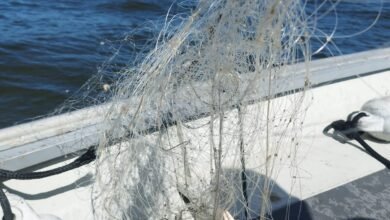 Rede de pesca irregular é apreendida em São Vicente