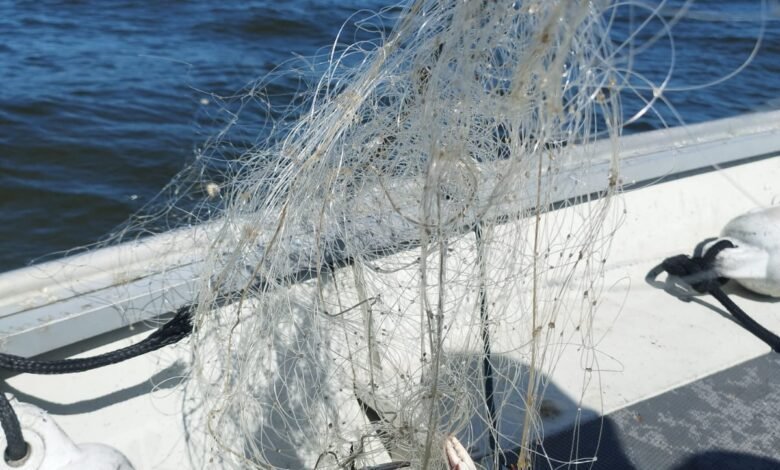 Rede de pesca irregular é apreendida em São Vicente