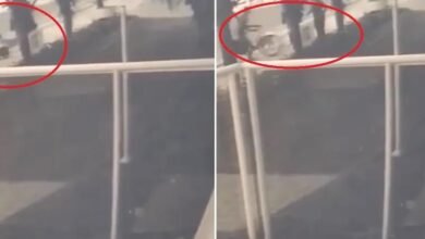 Homem é assaltado ao passear com dois cachorros em Bertioga