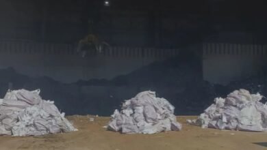 3 toneladas de drogas são destruídas em Santos