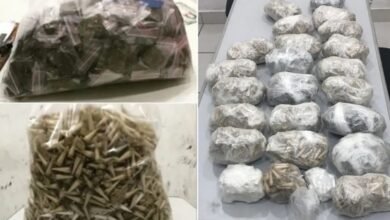 Drogas são encontradas espalhadas em quintal de imóvel no Litoral e casal é preso